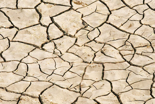 cracked dry ground that looks brittle