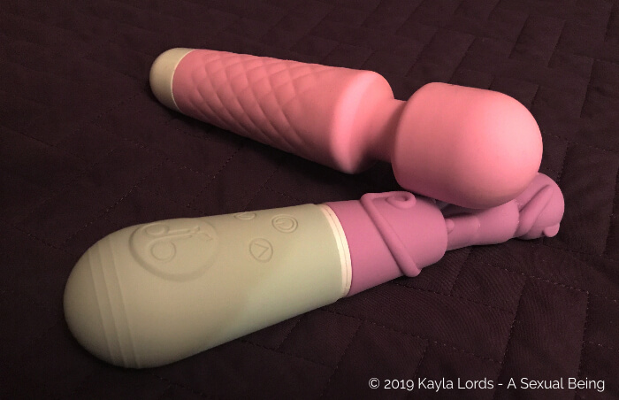two vibrators used for two masturbation sessions